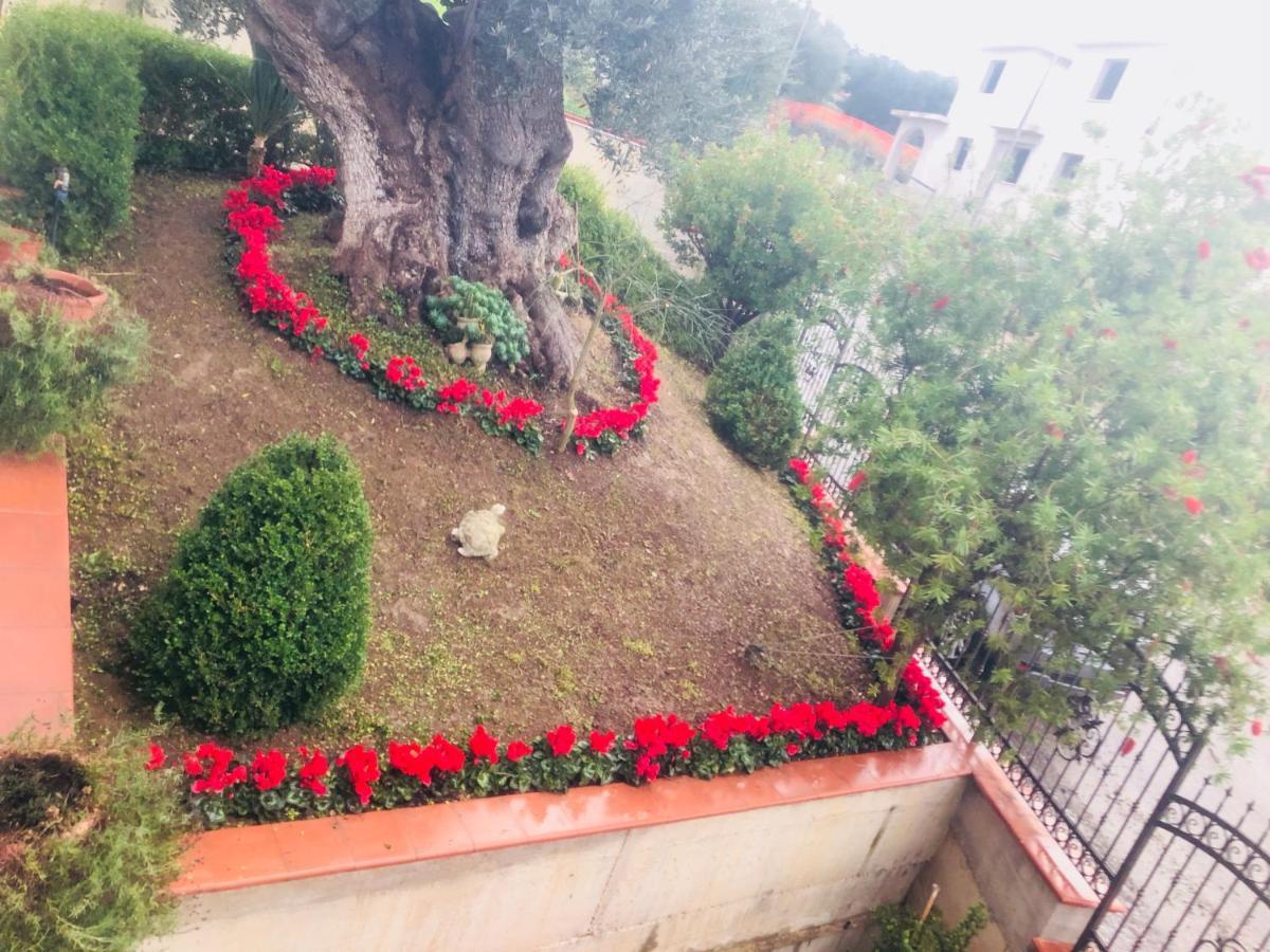 B&B Rosa Dei Venti Розето-Капо-Спулико Экстерьер фото