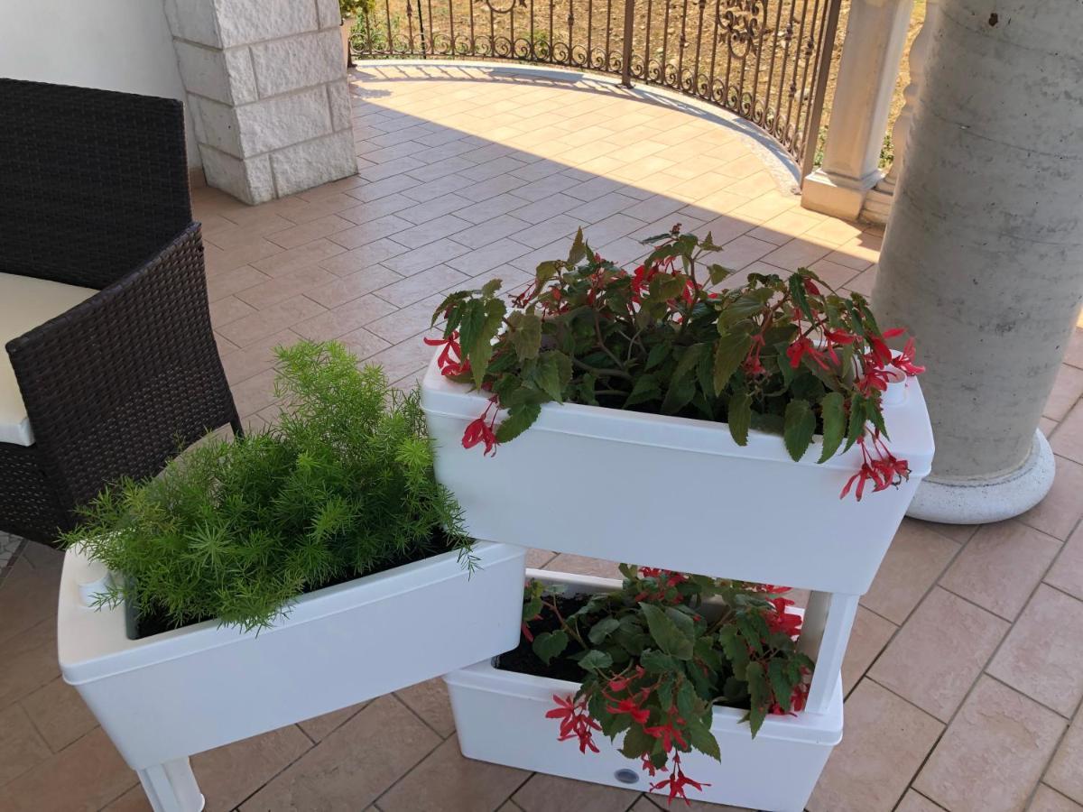 B&B Rosa Dei Venti Розето-Капо-Спулико Экстерьер фото